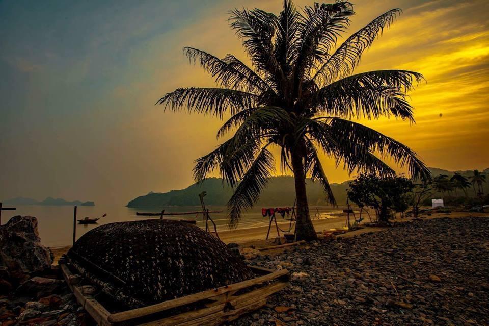 Woodstock Beach Camp Hien Hao Bagian luar foto